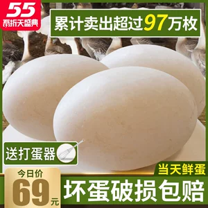 天天向上推荐 颐鲜堂 天然狮头鹅蛋 12枚 超大鹅蛋