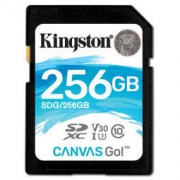 Kingston 金士顿 V30专业版 256GB SDG 内存卡