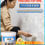 墙面修补膏 260g*2支 防水防霉补墙神器 送砂纸+刮板