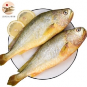 五莲扶贫馆 新鲜海捕大黄花鱼  700g（每件2条）*2件