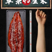 买一送一 日式蒲烧鳗鱼 单条约40cm 净重418-510g