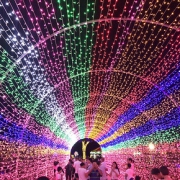 feen led小彩灯串灯 1米10灯