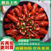 川锅一号 麻辣小龙虾 800g