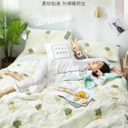 全尺寸同价 可水洗：南极人 空调被