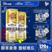 哈尔滨啤酒 小麦王 550ml*40听