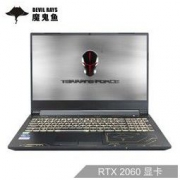TERRANS FORCE 未来人类 DR520 15.6英寸游戏笔记本电脑 (i7-10750H、16GB、256GB+1TB、RTX 2060、144Hz）