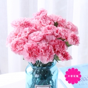 昆明 康乃馨鲜花花束 10枝x2件