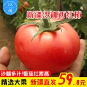 全球番茄红素含量之最 新疆沙瓤火焰西红柿 5斤 肉厚多汁