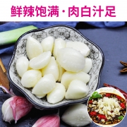 紫皮大蒜头新鲜干蒜蒜瓣5斤 19.9元（需用券）