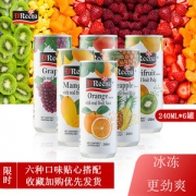 马来西亚进口 特丽娜 果粒果肉饮料 240ml*6罐