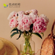Reflower 花点时间 重瓣芍药花 20支 送花瓶 59元包邮