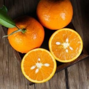 XUNGUOXIA巡果侠 夏橙 单果 100g-150g 净重5斤/箱