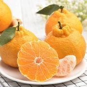鲜菓篮 不知火丑柑 丑八怪 5斤精品果 *2件