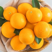 偷心菓 湖北秭归脐橙 10斤