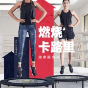 1日0点、61预告：DECATHLON 迪卡侬 8558559 家用蹦蹦床 219.9元(1日0点）