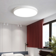 led吸顶灯 12w