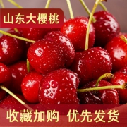 麦真 烟台大樱桃5斤中果预售 券后68元包邮