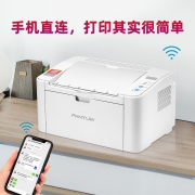 PANTUM 奔图 P2206 黑白激光打印机 549元包邮