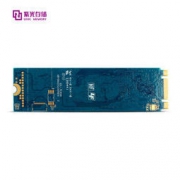 UNIC MEMORY 紫光存储 P100 固态硬盘 512GB