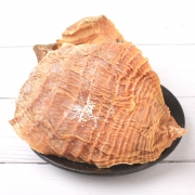徽珍 徽式无盐笋干 六寸 250g 17.8元包邮（双重优惠）