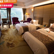 成都花水湾第一村温泉大酒店 1晚+无限次温泉+儿童乐园
