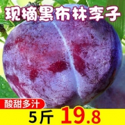 陕西新鲜黑布林李子孕妇新鲜水果10斤应当季脆甜多汁非三华李西梅