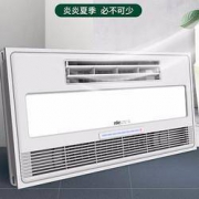 雷士照明 凉霸 照明一体负离子吹风+照明+摆叶 35w