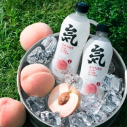 元気森林 0糖0脂0卡路里 白桃味苏打气泡水 480ml*12瓶