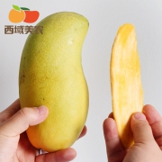 西域美农 广西金煌芒果 净重9斤