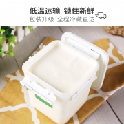 TERUN 天润 益家桶装酸奶 2kg