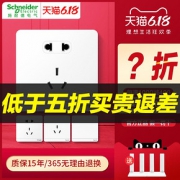 Schneider Electric 施耐德 绎尚系列 五孔插座*2只