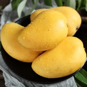 岭南果 广西小台农芒果 10斤