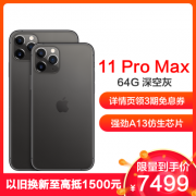 Apple iPhone 11 Pro Max 64G