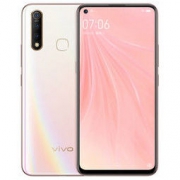 vivo Z5x 智能手机（8GB 128GB 全网通 幻彩粉）