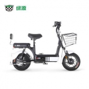 Luyuan 绿源 671760800 成人新国标电动车