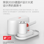 小米生态链 德尔玛 IF奖 手持熨烫机