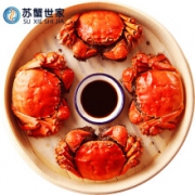 苏蟹世家 六月黄大闸蟹 6只装 2.0-2.5两/只