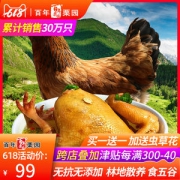 首农旗下 百年栗园 500天散养老母鸡 2斤*2只