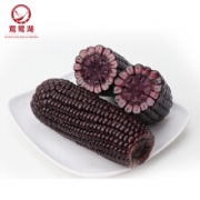 鴜鹭湖 新鲜 黑糯 有机玉米 220g*10支4-5斤