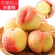 无锡阳山 水蜜桃 12个 单个5两左右