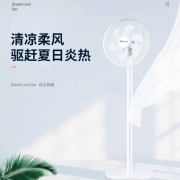 赛亿 电风扇 落地扇 皓白魔术扇