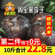 味默 陕西周至黑布林 黑李子 10斤