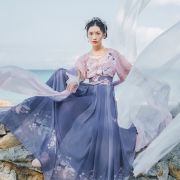 汉尚华莲 HZQ066 舞鹤赋 齐腰坦领衫裙汉服