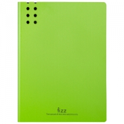 凑单品： fizz 飞兹 A2385 加厚A4单强力文件夹板(含插页) 绿