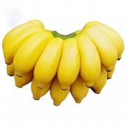 广西小米蕉     净果约2.5kg*2件