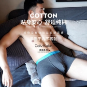Cailv Kailun男士内裤男四角短裤头纯棉抗菌裆透气平角裤潮流ck18