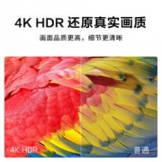Skyworth 创维 65M9 65英寸 4K液晶电视