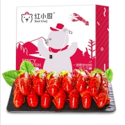 红小厨小龙虾  十三香大号 6-8钱24-34只 1.8kg*2件