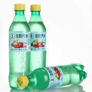 沈阳特产 八王寺汽水 碳酸饮料 500ml*6瓶