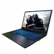 Shinelon 炫龙 DD3 Plus 16.1英寸游戏本（G5420、8GB、256GB、GTX1650、72％NTSC）